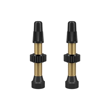 WTB Tubeless szingó szelep garnitúra [46 mm] kerékpáros