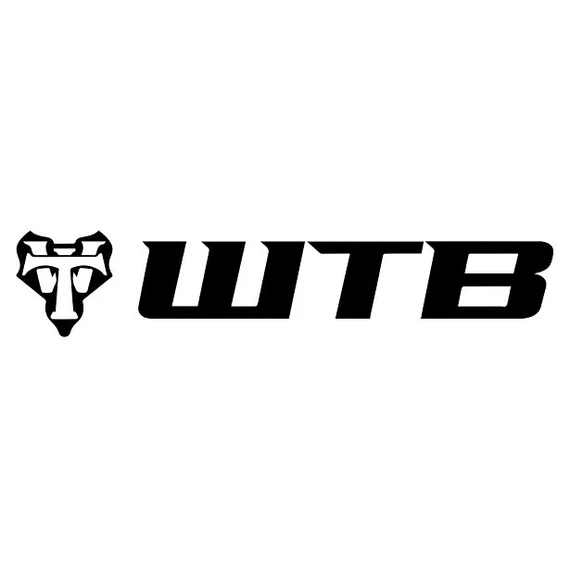 WTB Small Logo matrica kerékpáros